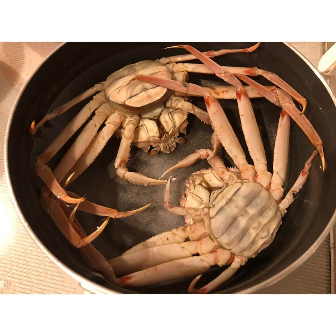 南條早紀さんのインスタグラム写真 - (南條早紀Instagram)「香箱ガニ🦀 . 11月6日、ズワイガニ漁解禁✨ 今年も待ってました❤️ . 今年はいつ食べられるかな…とおもっていたら なんと！生のズワイガニのメスを スーパーで2杯500円でゲット🥺✨ . カニ茹でたことないし、ちょっと戸惑ったけど 安さに負けて連れ帰りました！ . . 常温の水1.5ℓ＋大さじ1.5の塩で 常温から茹でて、ちょっと冷まして 麺棒でゴリゴリ身を取り出して完成🥺 . はじめてにしてはよくできた！ （自画自賛） . . さすがズワイガニ。 メスの細い腕の身でも、甘味と旨味が しっかり感じられて美味しい！ 香箱ガニならではの 外子のプチプチと、内子の独特の食感。 味わえる蟹味噌…。 . このカニの美味しさを 自宅で500円で味わえるって、 富山すごくないですか？😭 日本海側に住む特権だなと思います！ カニ好きには堪らなさすぎる！！ . . 寒くなるのも晴れの日が減るのも 悲しい時期だけれど笑、 寒くなる季節だからこそ出会える 富山の味覚を毎年楽しみにしています☺️ . . 富山に住んでいてよかった💓 と改めて思える瞬間😊 . . みなさまもスーパーで見かけたらぜひ！笑 . . #富山県 #富山市 #富山 #toyama #カニ #蟹 #かに #crab #🦀 #ズワイガニ #メス #香箱ガニ #せいこがに #ずわい蟹 #富山グルメ  #日本海 #富山湾 #ズワイガニ解禁  #海 #海の幸 #カニ大好き #蟹料理 #日本酒 #日本酒で乾杯 #幸せ #おうちごはん #富山大好き #アナウンサー #南條早紀 #なんじょうのにちじょう #🦀」11月8日 21時49分 - nanjo_saki