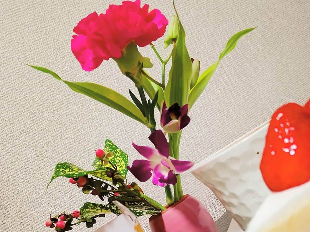 松浦麻里奈さんのインスタグラム写真 - (松浦麻里奈Instagram)「小さなときめきが週末に届く😍👍 お花の定期便 @bloomeelife　🤗  おやつタイムと共に。 一瞬にして食卓が明るくなった(●’3)♡(ε`●) ホッとする時間✨  お花の種類は届いてからのお楽しみ🌸 毎週ワクワクするお花の定期便⊂(・▽・⊂)  明日から月曜日やねー！！ 今年も残り少しだわ😭⚡😭  初回のお花お届けが無料になる ▼▼クーポンコード▼▼  ■クーポンコード：ay ■有効期限：2020年11月31日 . .  #お花 #お花のある暮らし #キャンペーン #campaign #pr #花瓶 #花瓶の花 #Flower  #フラワーアレンジメント#花 #花のある暮らし #花束 #プレゼント #present #cake #presents🎁 #flowers #flowerstagram #プレゼントキャンペーン #無料#デザート #flowerphotography #photographie　#食卓 #ブルーミーライフ #花サブスク#ケーキ #🍰」11月8日 21時59分 - ay114.831m