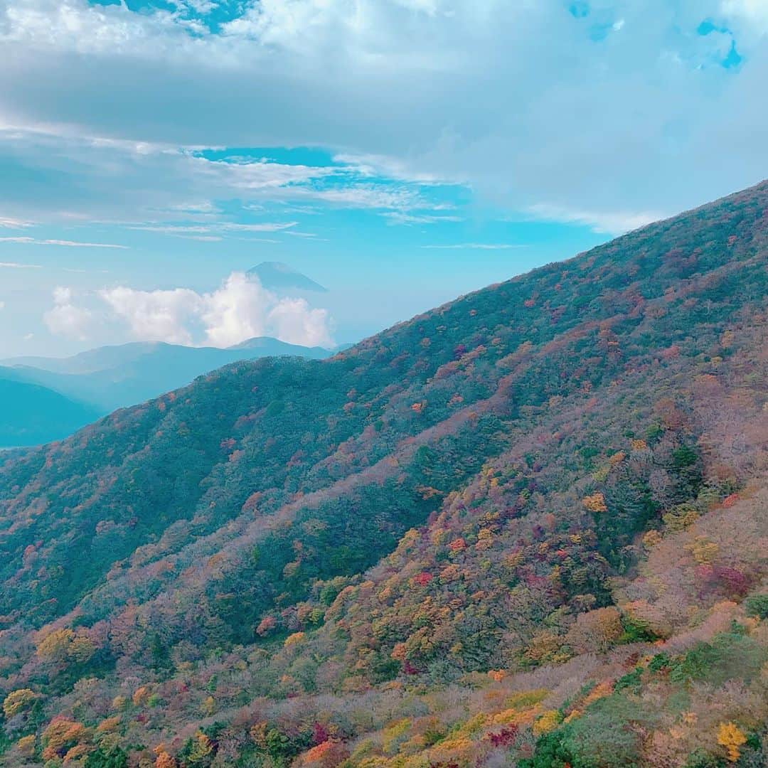 石田ひかりさんのインスタグラム写真 - (石田ひかりInstagram)「紅葉狩りへ🍁 紅葉も、夕暮れの富士山も きれいだったなあ…🗻 ええ日曜日どした😍 #あしたもがんばれる✊🏻 #富士山が好き🗻」11月8日 22時22分 - hikaringo0525