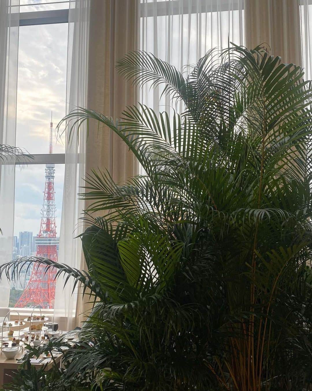 yuukachiさんのインスタグラム写真 - (yuukachiInstagram)「🍽🌿  お友達とランチしたんだけど 東京タワー見ながら食事できるし ホテル綺麗しお話も弾んで楽しかったです😙♡  次は、アフタヌーンティーしに 行きたいなぁ💭☕️  #東京ランチ#神谷町ランチ  #editionhotel#神谷町#ランチ」11月8日 22時18分 - yuuka_stagram