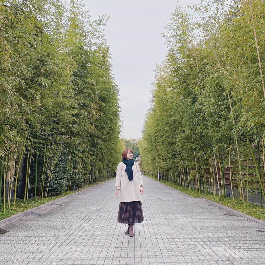 あいりさんのインスタグラム写真 - (あいりInstagram)「京都に行ってきたよ☺️🍁  #goto #gotoトラベル #gotoトラベルキャンペーン #gotoトラベル #京都 #kyoto #kyotojapan」11月8日 22時18分 - airi_happy