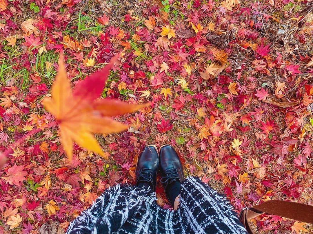 のインスタグラム：「紅葉の季節ですね〜🍁 今年は散る前にちゃんと見れた😆📷 . . . 毎日さ、色んなことがあるけどさ、 杏奈は1人じゃないし 素敵な人が周りに沢山いてくれるので、 がんばる〜！！！  . . . #紅葉 #秋 #写真 #紅葉写真 #紅葉狩り #もみじ #自然 #日本 #綺麗すぎた #iPhone #iPhone11 #ポートレート #ポートレート撮影 #写真好き女子 #instagood #likeforlikes #followme」