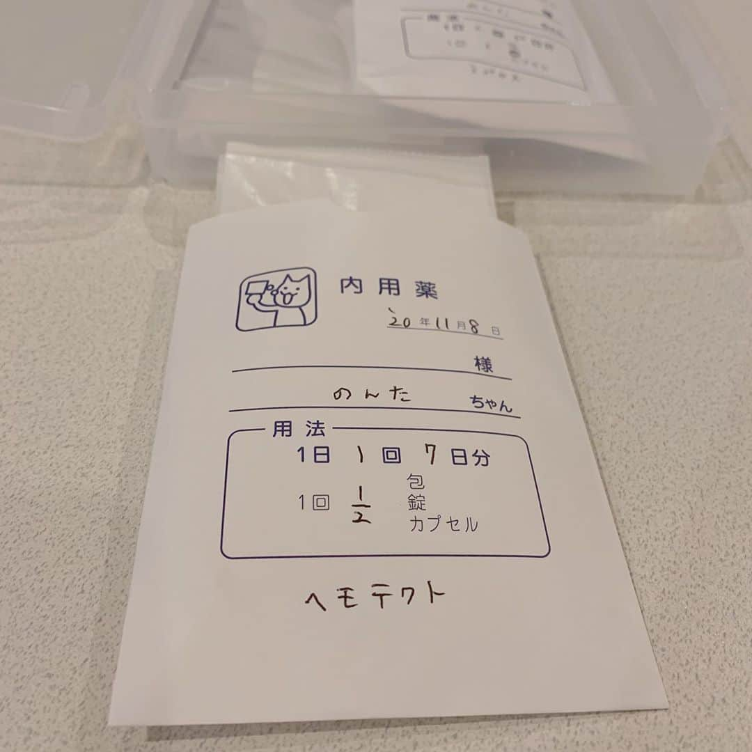 のんたさんのインスタグラム写真 - (のんたInstagram)「のん「やっほ！」 今日も病院へ🏥 10月27日から毎日かかさず点滴に通いました。 今日でいったん区切りをつけて明日から自宅で点滴をします。1週間ぶりに受けた血液検査の結果は横ばい&貧血が進んでしまったので今日は鉄剤の注射もしてもらいました。 ラプロスに加えて貧血のお薬も処方されました。のんちゃんすっかりお薬に慣れて上手に飲んでくれるので問題ありません💪 体重が3.4kg台まで落ちてしまったり、いろんなことが心配だし不安もあるけど、のんちゃんは大丈夫！という気持ちの方が強いです。きっとたくさんの方が応援してくれているからだと思います。 ありがとうございます😊 ・ ①②③待合室でも余裕だにゃ✌️ ④血液検査はちょっと泣いちゃった ⑤⑥今日の結果。赤い文字をなくしたい ⑦新しいお薬 ⑧点滴のセット ⑨⑩子供用のパーカーを改造してのんちゃんの保定袋にする予定です」11月8日 22時35分 - utacci