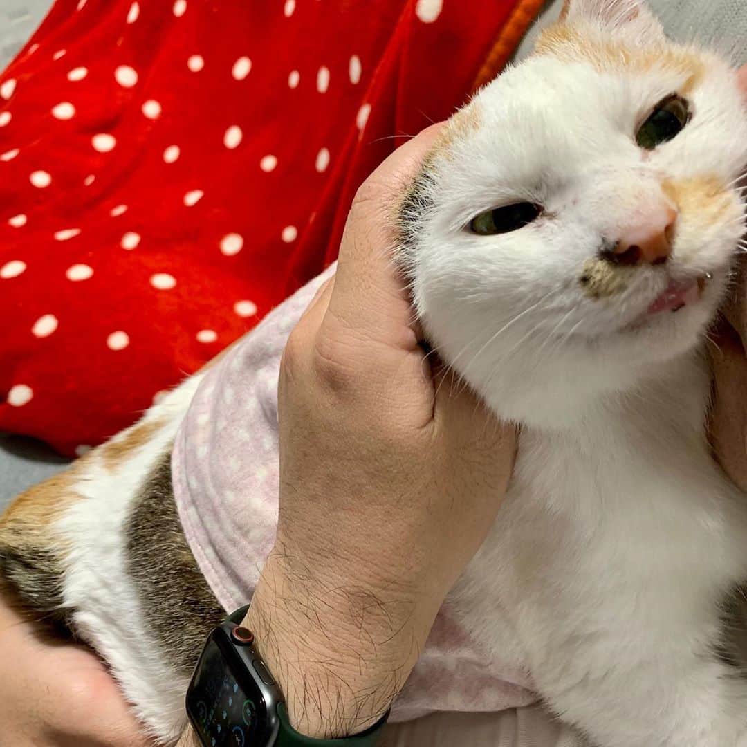 マルのインスタグラム