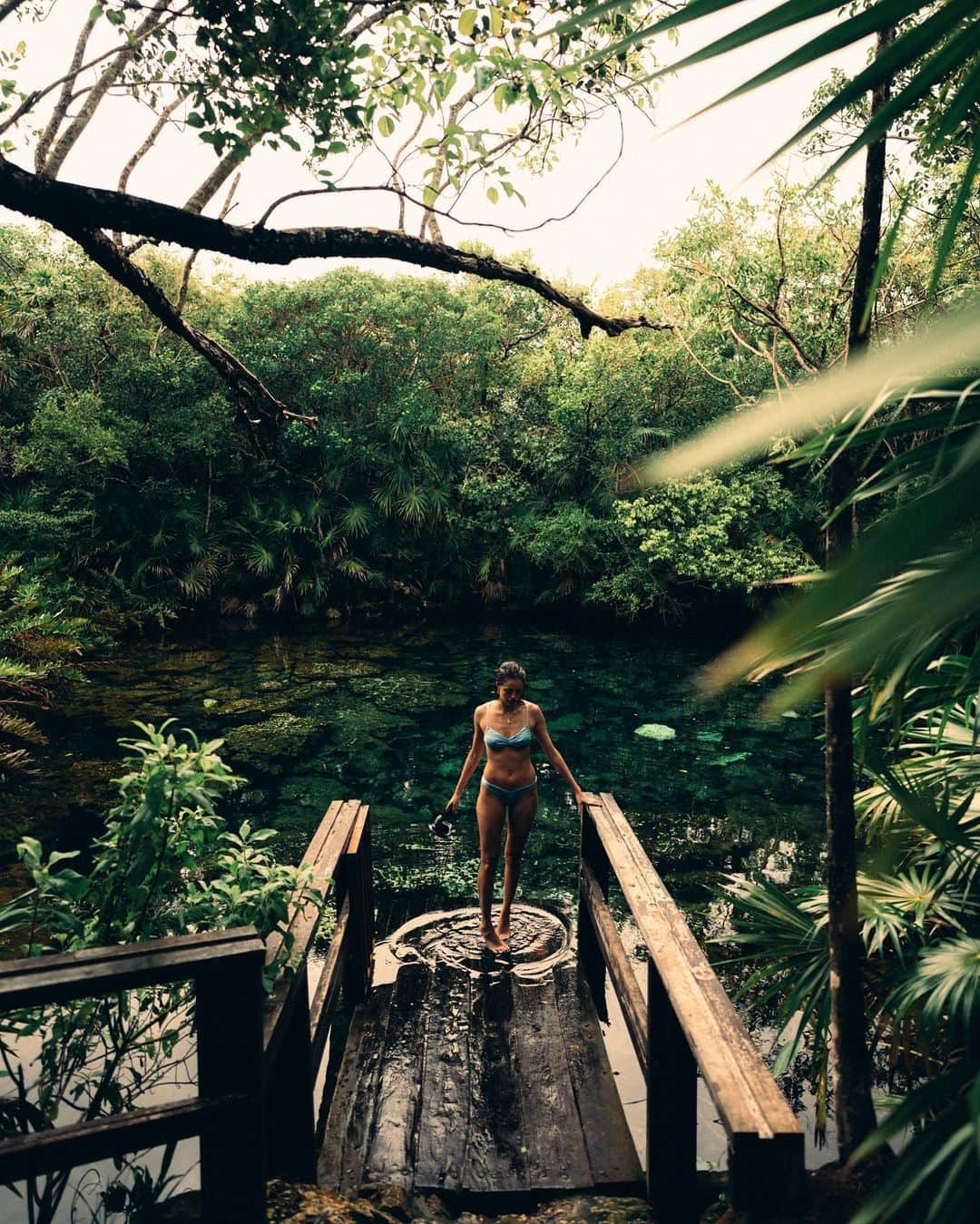 アガサ・モレイラのインスタグラム：「Madre Naturaleza 🍃 photo: @lucaspinhel」