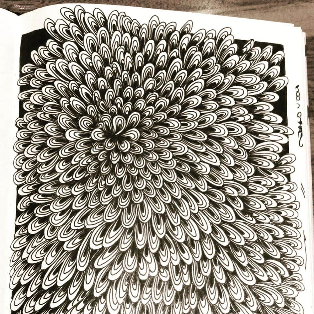 ヴィルジニー・デデューさんのインスタグラム写真 - (ヴィルジニー・デデューInstagram)「✏️ Z E N • • Draw of the day ... #artist #drawing #inspiration #paper #parperart #zentangle #zentangleart #creation #synchrogirls #da #design #designer #graphicdesign #pencil #unipen @unipens_adria」11月8日 23時10分 - virginie_dedieuoff