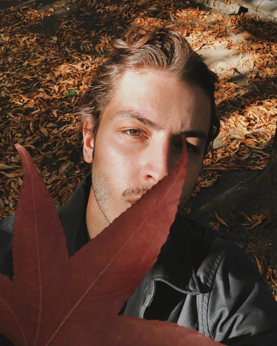 Boran Kuzumさんのインスタグラム写真 - (Boran KuzumInstagram)「🍂🍁」11月8日 23時12分 - borankuzum