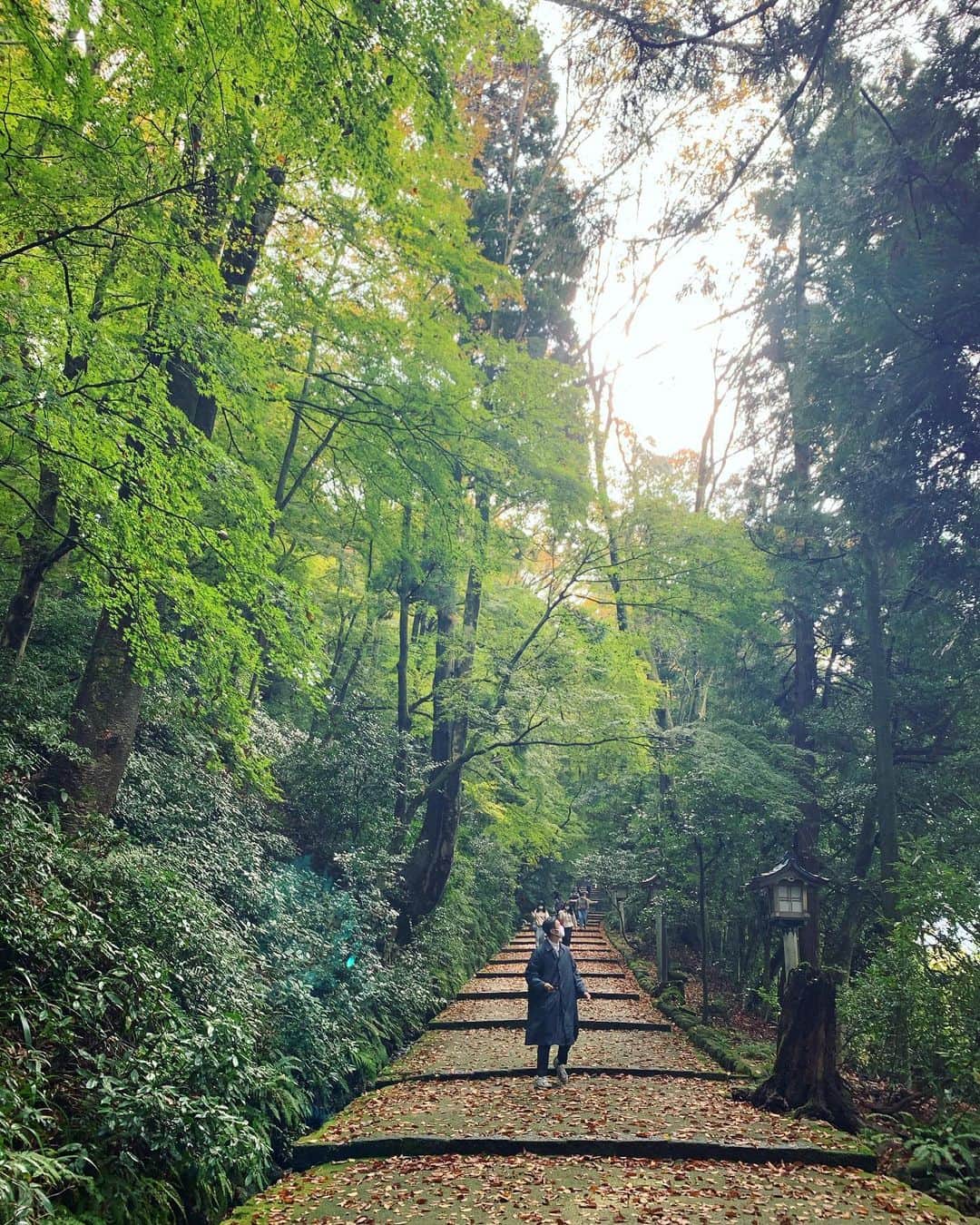 早坂香須子さんのインスタグラム写真 - (早坂香須子Instagram)「立冬の朝、白山比咩神社へ。  前日、金沢到着と同時に振り出しだ雨は夕方には土砂降りに。  今朝は深く雲が立ち込めていましたが、参拝を終えると雲の切れ間から太陽が顔を出しました。  雨の潤いも晴れの暖かさも有り難く、影と光のコントラストがより美しく映った朝。  境界で対峙する伊弉諾尊・伊弉冉尊二神の仲裁をした和合の神様、菊理媛神を祀る 〝しらやまさん〟。三度目の参拝でしたが、いつも心に気付きをいただきます。  ありがとうございました🙏✨✨✨  #大人の遠足 #白山比咩神社 #yinyang」11月8日 23時21分 - kazukovalentine