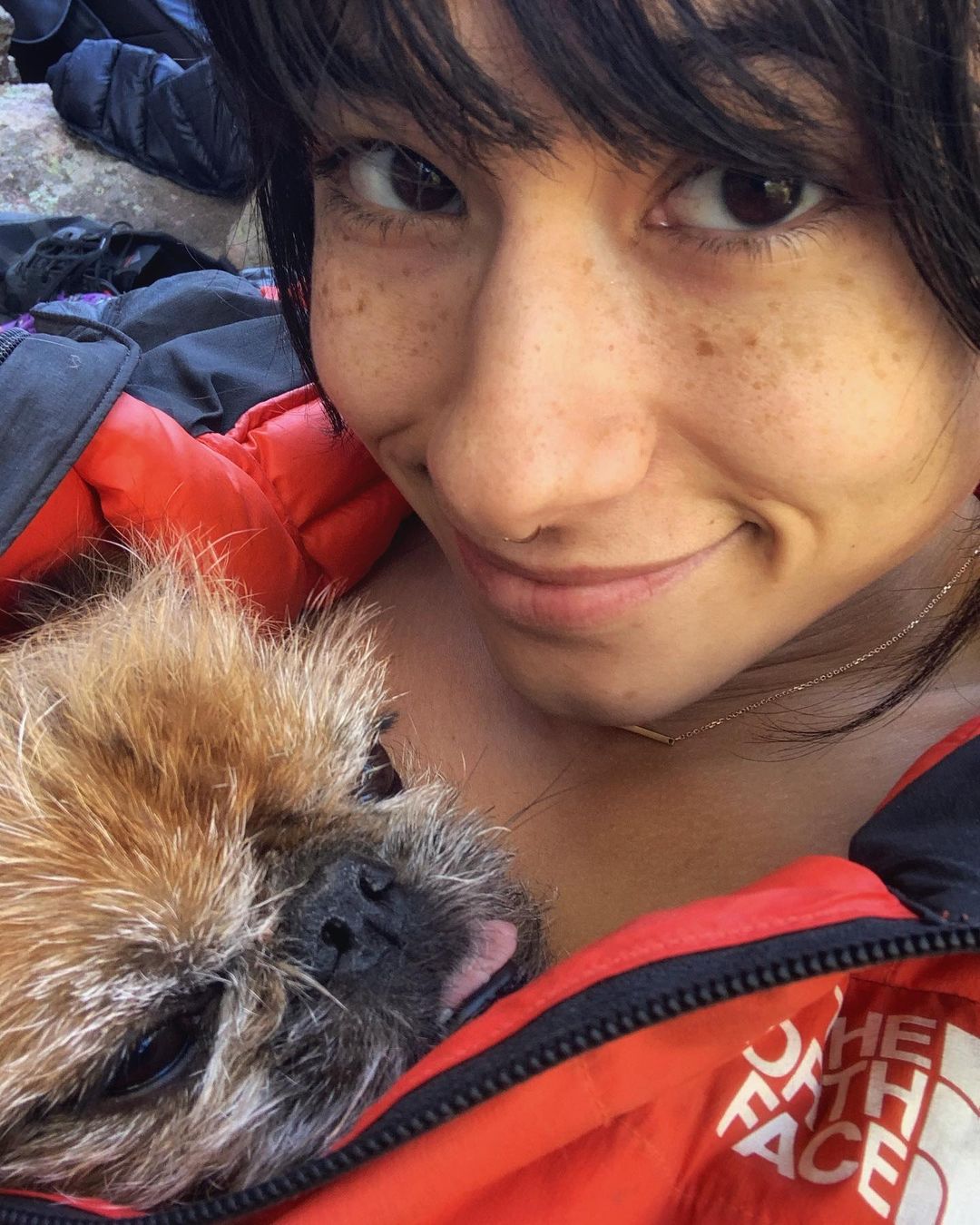 ニーナ・ウィリアムズさんのインスタグラム写真 - (ニーナ・ウィリアムズInstagram)「Crag snuggles with #goBerniego 🐶 @thenorthface puff keeping us both warm. Nothing like some puppy therapy after a tense week. Hope everyone found some time to unwind! The work continues 💪🏼🙌🏼 #notmydoggo 😜 @cedarwright @nmilfeld」11月9日 5時41分 - sheneenagins