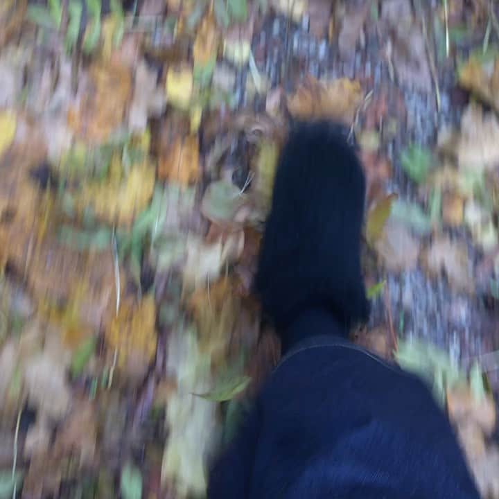 ロサモサのインスタグラム