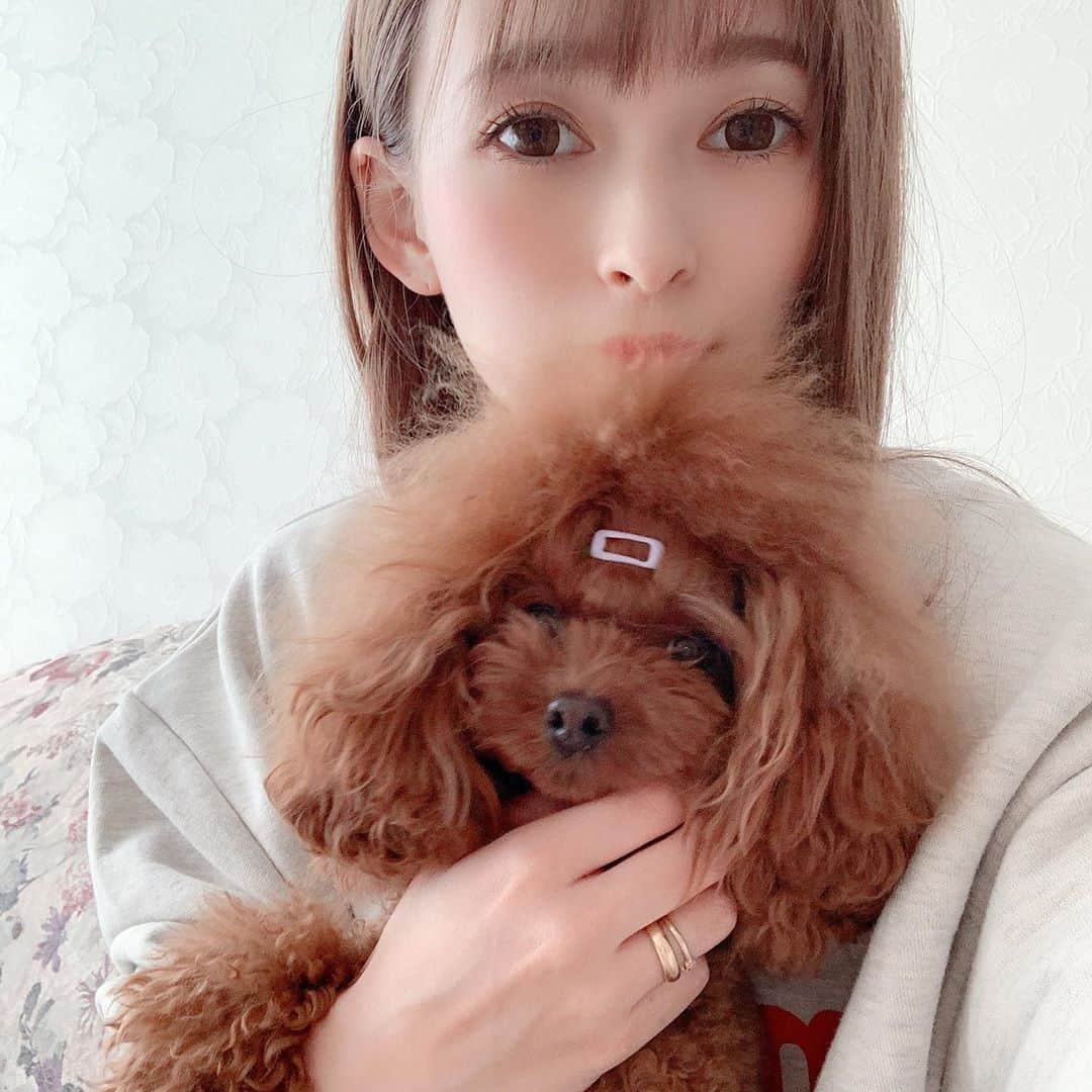町田亜里香のインスタグラム：「ちょっと前のお洋服𓂂𑀀 だんだん寒くなってきたね🥶 . . tops. @dholic_official  pants. @kobe_lettuce  👟.. @converse_jp  👜.. @gu_for_all_   ウエストバックは、 去年のものです✌️ˎˊ˗ このDHOLICのトレーナーも 神戸レタスのパンツも可愛い❤️ . . 私の身長が低いので、 なんかあんまり上手く可愛く 着こなせませんが←ごめんなさい🙏 . . あっ！ ニッチがクリスマス仕様に…🎄🤶　 . #ママコーデ #ママ #mama  #メイク #韓国ファッション #プチプラコーデ #プチプラ #ニッチ  #玄関ニッチ #玄関ニッチディスプレイ」