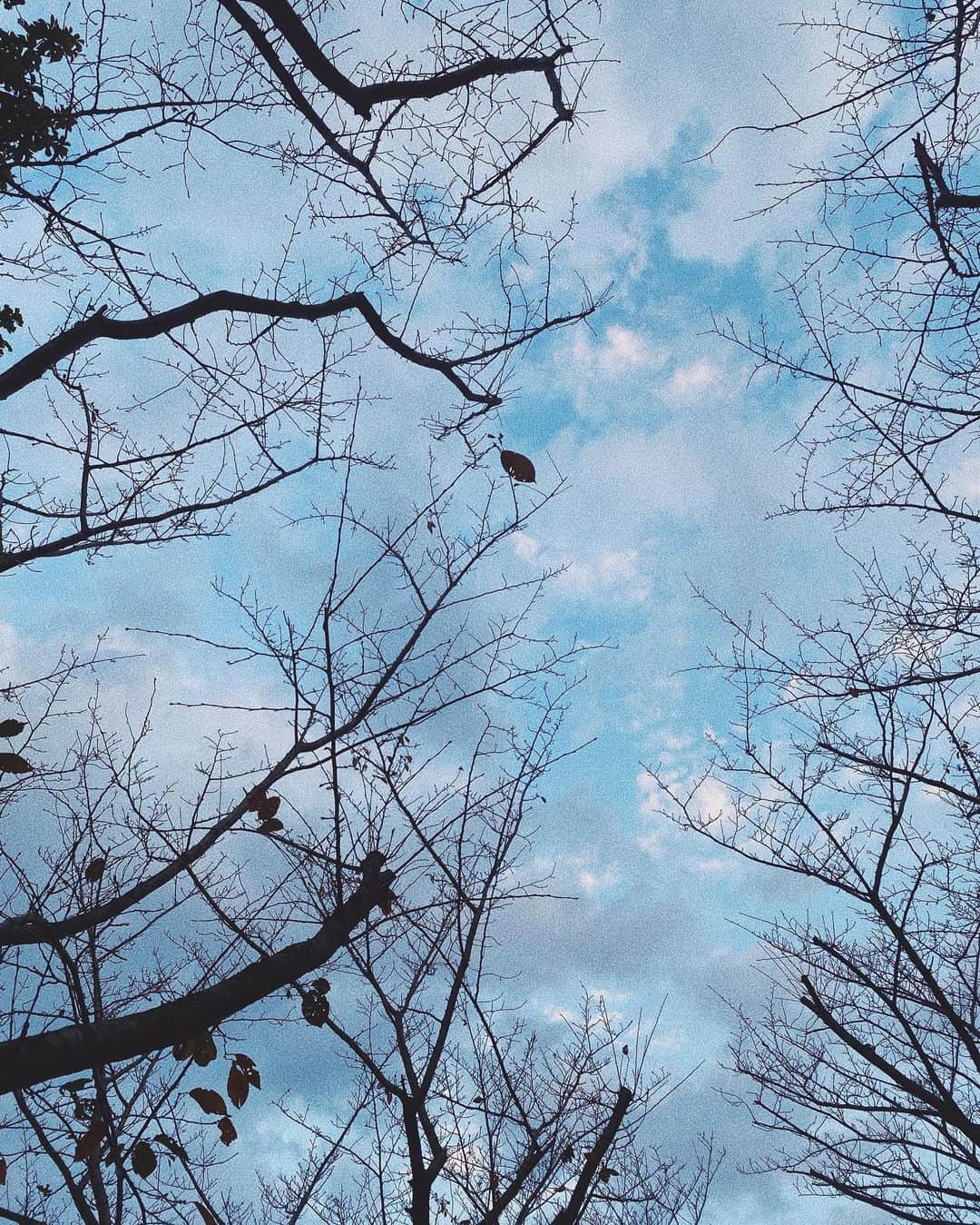 上原歩さんのインスタグラム写真 - (上原歩Instagram)「lovely sky🤍 空がすきで、空が見渡せる場所にいくのがすきです。  ___________________________  #love #life #sky #beautiful #sunday」11月9日 1時10分 - ayumiuehara