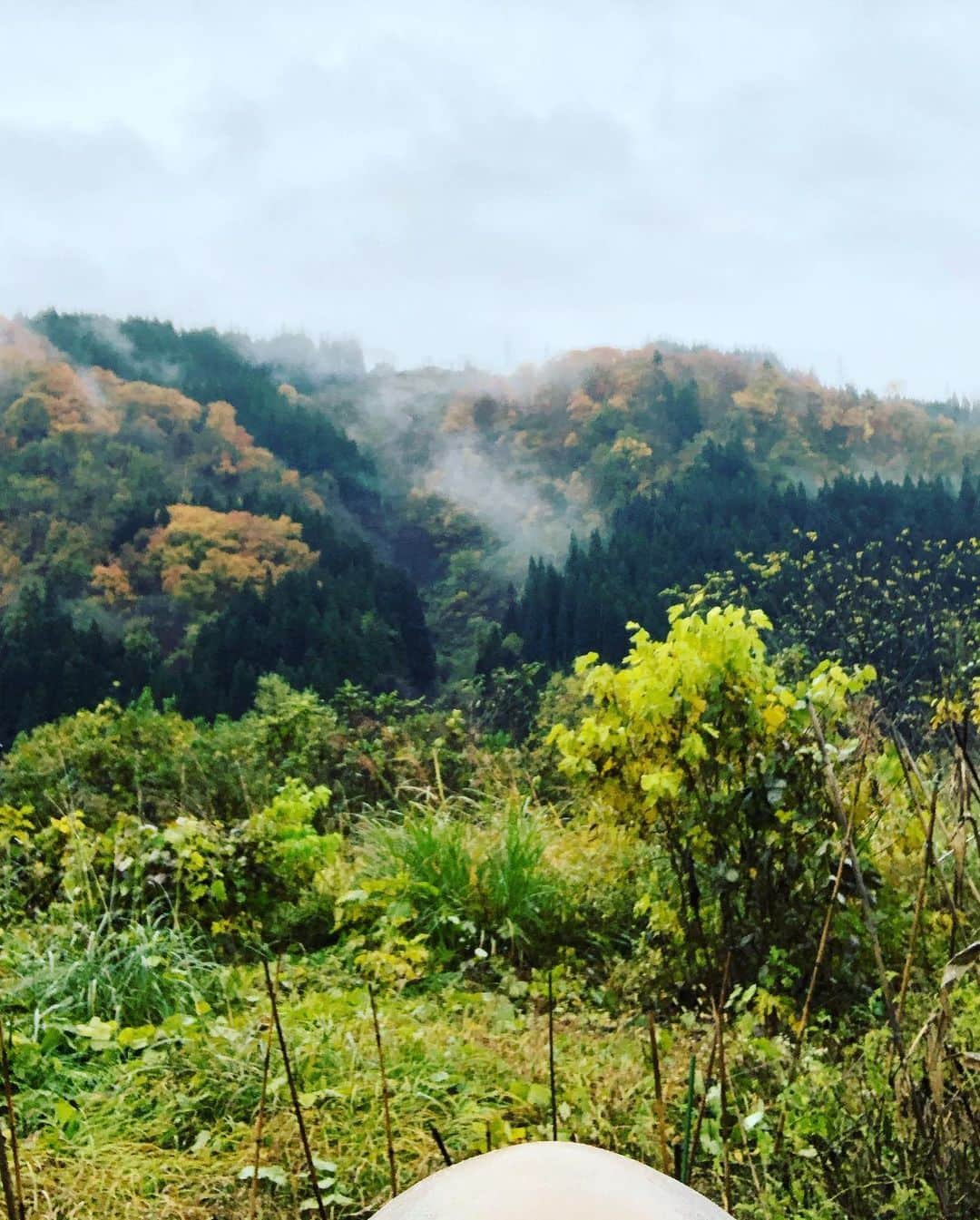 あばれる君さんのインスタグラム写真 - (あばれる君Instagram)「美しい会津の山を⛰撮りました。」11月9日 14時54分 - abarerukun