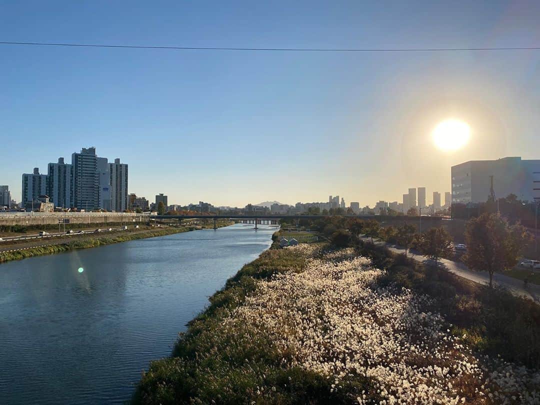 ジンソクのインスタグラム：「#중랑천 #서울 #seoul」