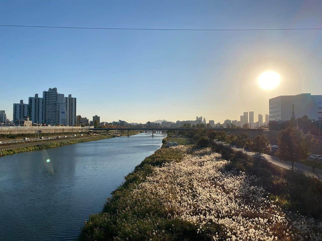 ジンソクさんのインスタグラム写真 - (ジンソクInstagram)「#중랑천 #서울 #seoul」11月9日 14時04分 - jinstar