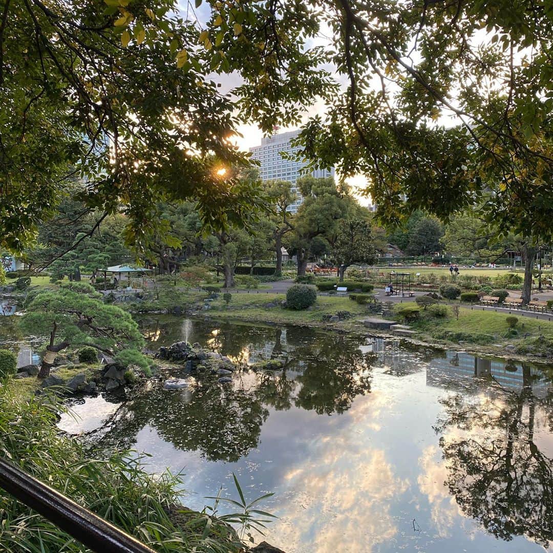 山田しょうこのインスタグラム：「いつかの無修正日比谷公園。キレイ。 #公園  #日比谷公園  #夕焼け」