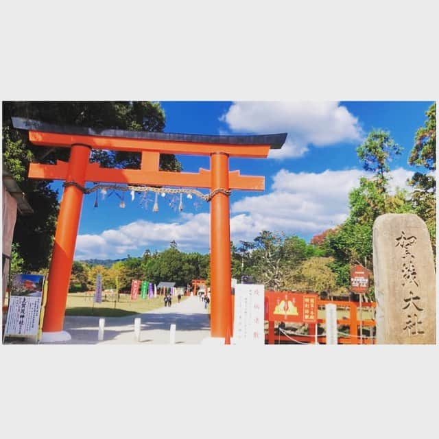 のインスタグラム：「いつかの⛩ 京都　上賀茂神社✨⛩ . なんという快晴🌞 歓迎してもらえてるのでしょうか✨ 心が落ち着く。 . 賀茂別雷神社、中の御神話見学しましたが その絵がなんとも言えず共鳴してしまった。素敵だー。 . 境内をゆっくりまわって、高いところから景色を見渡してじーっくり。 まだ紅葉🍁する前の緑の葉がキラキラしてた✨ . #上賀茂神社 #賀茂別雷神社  #神社 #神社巡り #京都  #ありがたい #共鳴」