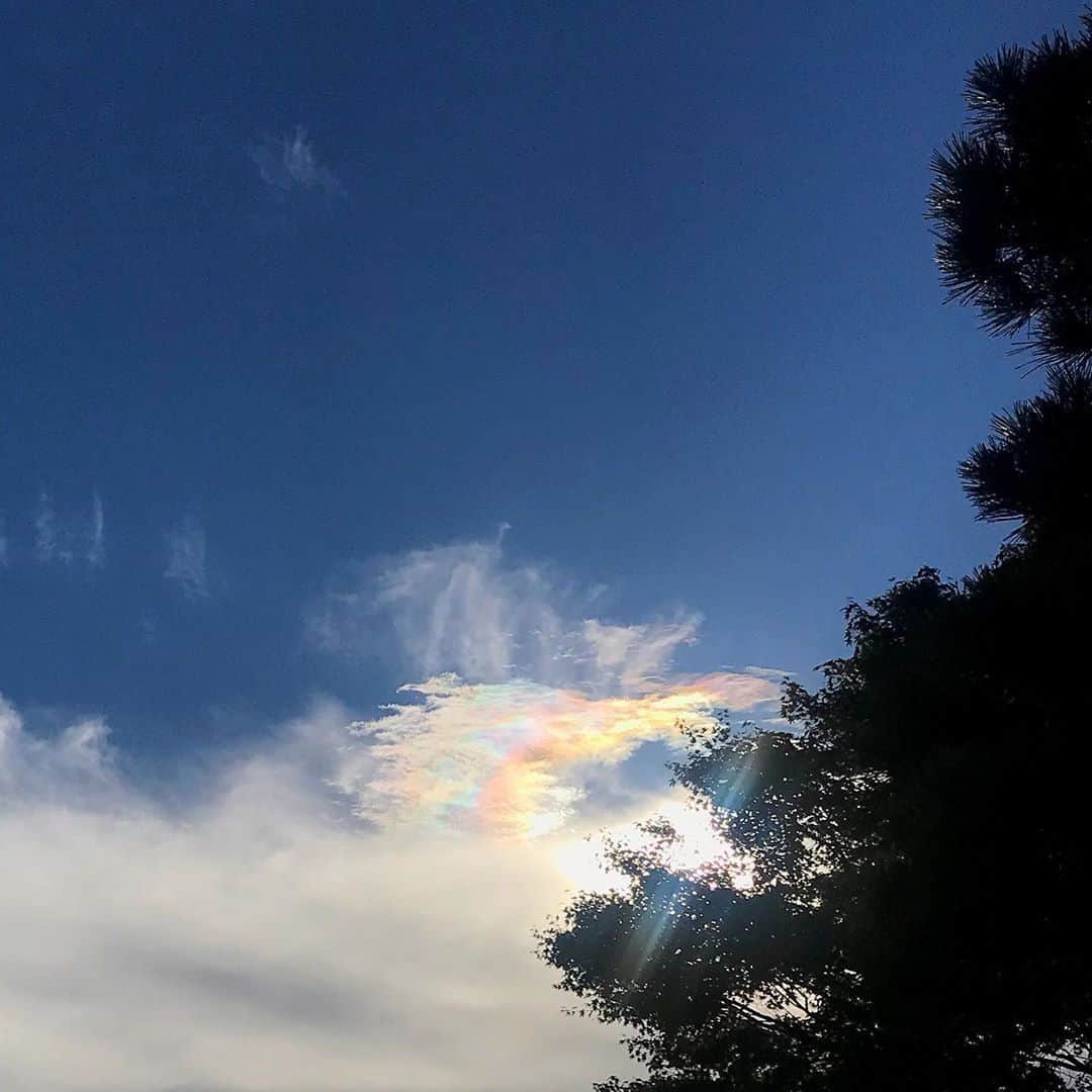 towanaさんのインスタグラム写真 - (towanaInstagram)「最近こういう雲によく会う。虹よりすぐに 一瞬で消えてしまう」11月9日 14時27分 - towana