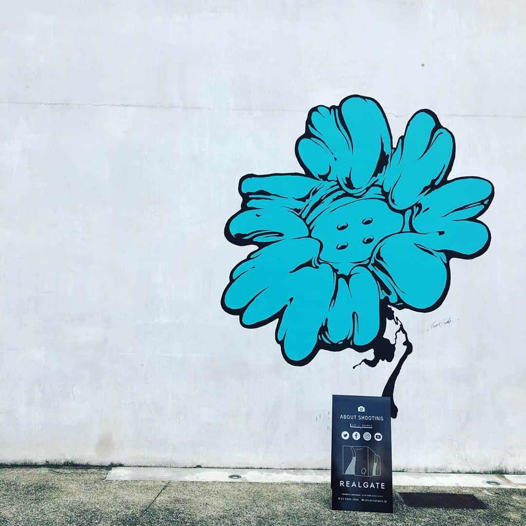 鳳真由のインスタグラム