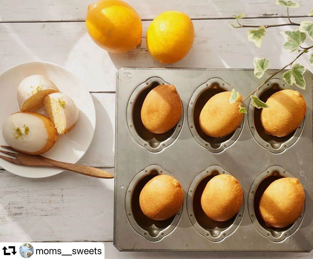 クスパさんのインスタグラム写真 - (クスパInstagram)「#repost @moms__sweets ・・・ レモンケーキ🍋  #chiyoda の型で焼いたレモンケーキ🍋 先日スーパーに行ったら #国産レモン が10個で398円で売ってて飛びついて買ってしまった😋  皮まで使うレモンケーキはやっぱり国産のレモンを使いたいですね〜  この型少しお高いですが型離れが良くて綺麗に焼けます👍 レモンチョコでコーティング🍫 美味しいに決まってます💕  残りのレモンは蜂蜜につけて寒くなったらホットで飲むように🍯 楽しみ♫  #静岡市#レモンケーキ  #レモン #蜂蜜 #手作りお菓子 #焼き菓子 #お菓子作り #お菓子作り好きな人と繋がりたい #クスパ #クスパ登録教室 #お菓子教室  #お菓子作り初心者 #スイーツ作り #お家カフェ #おうち時間 #おやつ #おやつ作り #foodie #お菓子教室静岡 #お子様連れ歓迎  #簡単お菓子 #instagood」11月9日 14時36分 - cookingschoolpark