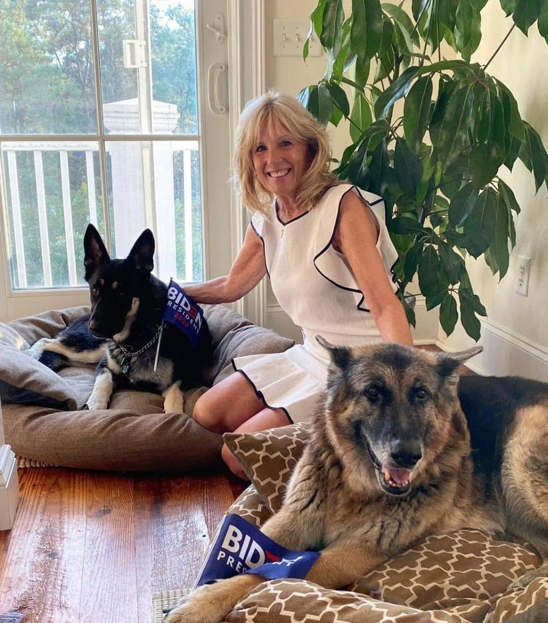 マーク・ハミルさんのインスタグラム写真 - (マーク・ハミルInstagram)「After 4 years with NO DOGS in the WH-Welcome Champ & Major Biden! FUN FACTS: tRUMP is the 1st Prez to have NO PETS whatsoever since James K. Polk in 1845-Both were one-term presidents. Also: In 1797 John Adams had dogs named Juno, Satan & MARK(!) He too, served only one term.🇺🇸🐶」11月9日 7時37分 - markhamill