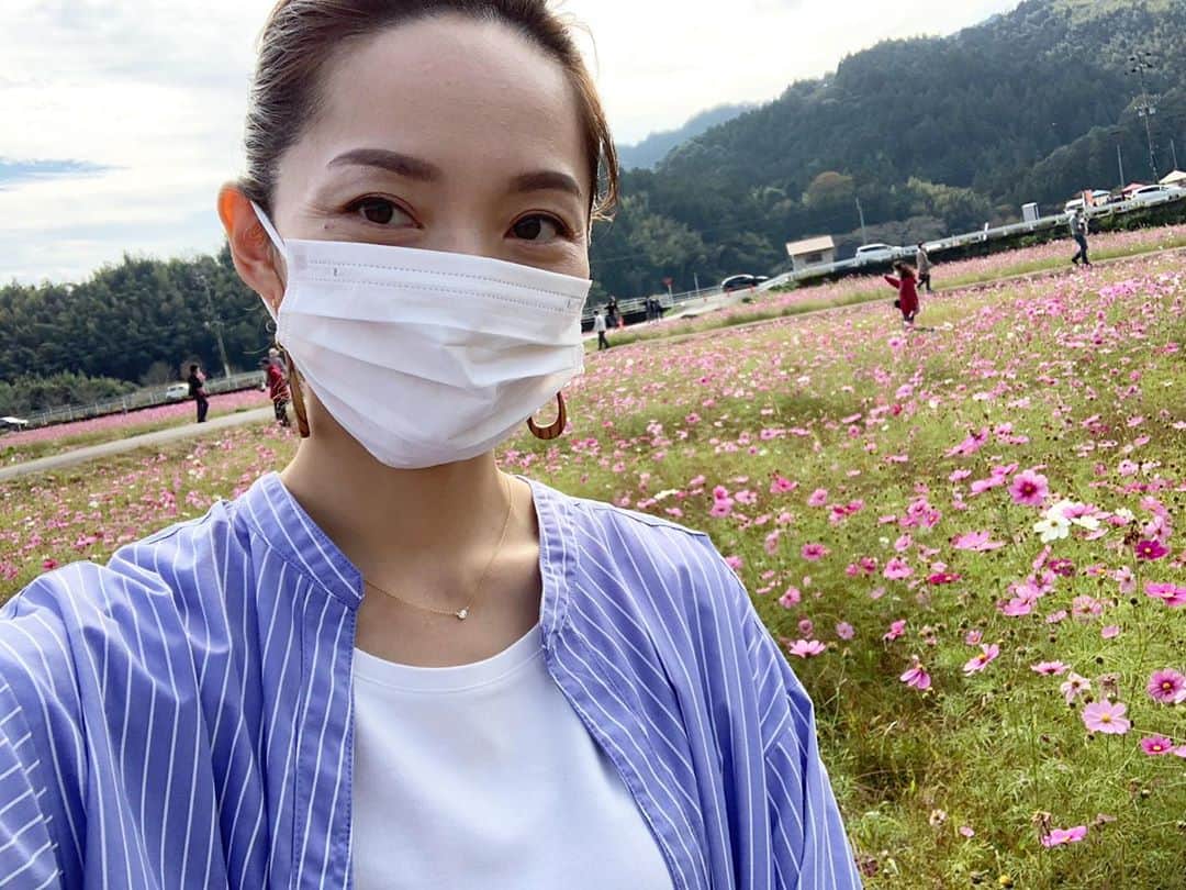 のインスタグラム：「滑り込みで藤枝市のコスモス畑に行ってきました❣️ 10月中が見頃らしいけど、ギリギリ楽しめました🌸 地元の方たちが毎年丁寧に手入れをして咲き誇るコスモス。 見応えがありました💓 . . . #コスモス畑  #藤枝市 #藤枝  #秋桜 #秋桜畑 #秋桜が好き」