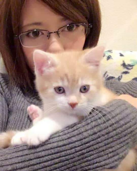 友利愛美さんのインスタグラム写真 - (友利愛美Instagram)「おはようございます☀3年前のきょう😽☺️  #ちび笑ちゃん 😺#cat #ショートカット 👩#me」11月9日 7時55分 - aimitomori
