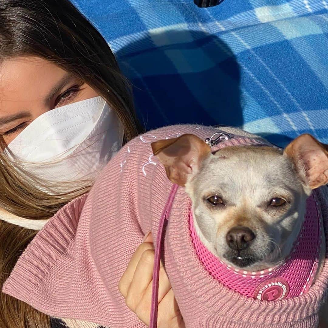 ソフィア・ベルガラさんのインスタグラム写真 - (ソフィア・ベルガラInstagram)「Covid sundays😷😷🎈🎈」11月9日 9時29分 - sofiavergara