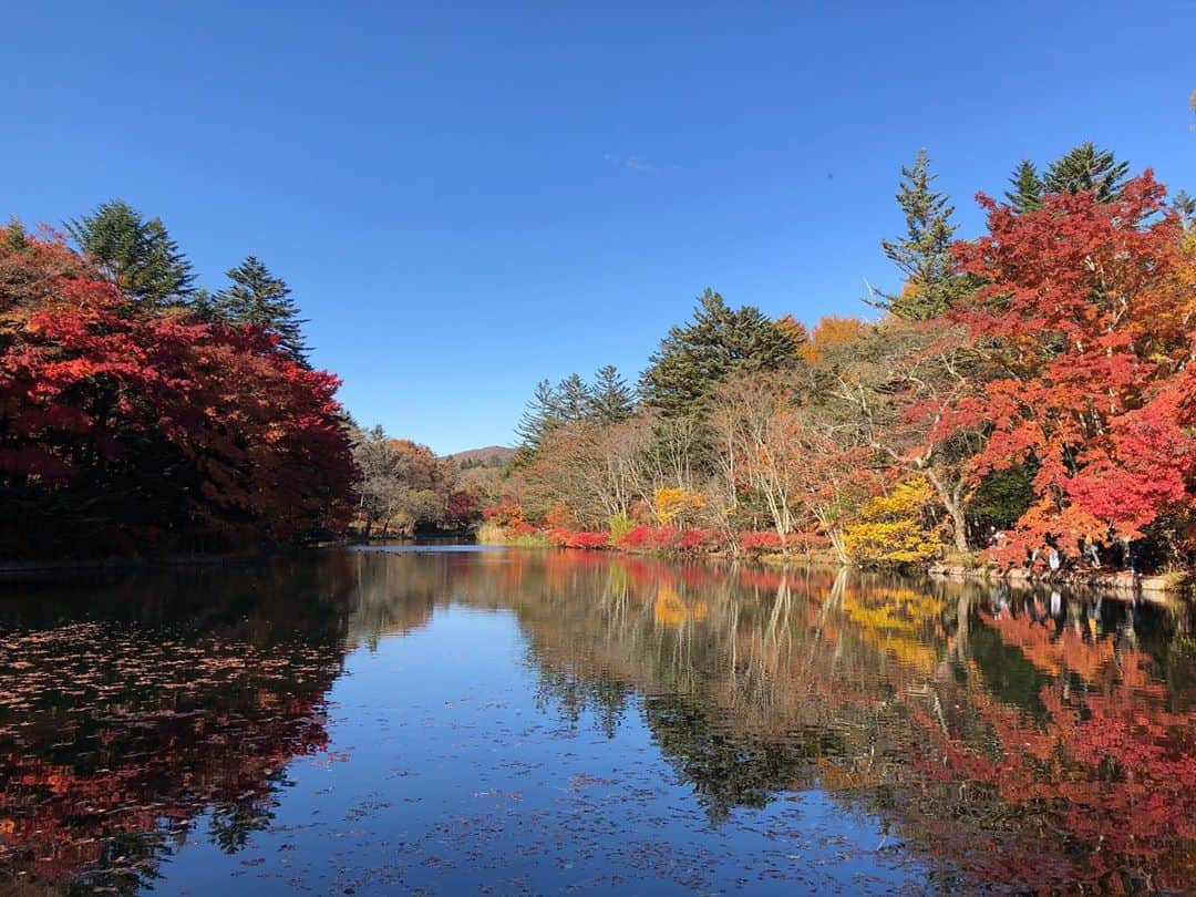 伊藤沙織のインスタグラム：「軽井沢は紅葉がとっても綺麗でした🍁 サプライズで誕生日祝いもしてくれてありがとう🎂トイレから戻ったら、みんなが私の顔入りTシャツ着てた🤣 三枚目の家族写真感も好き。笑 . #軽井沢旅行」