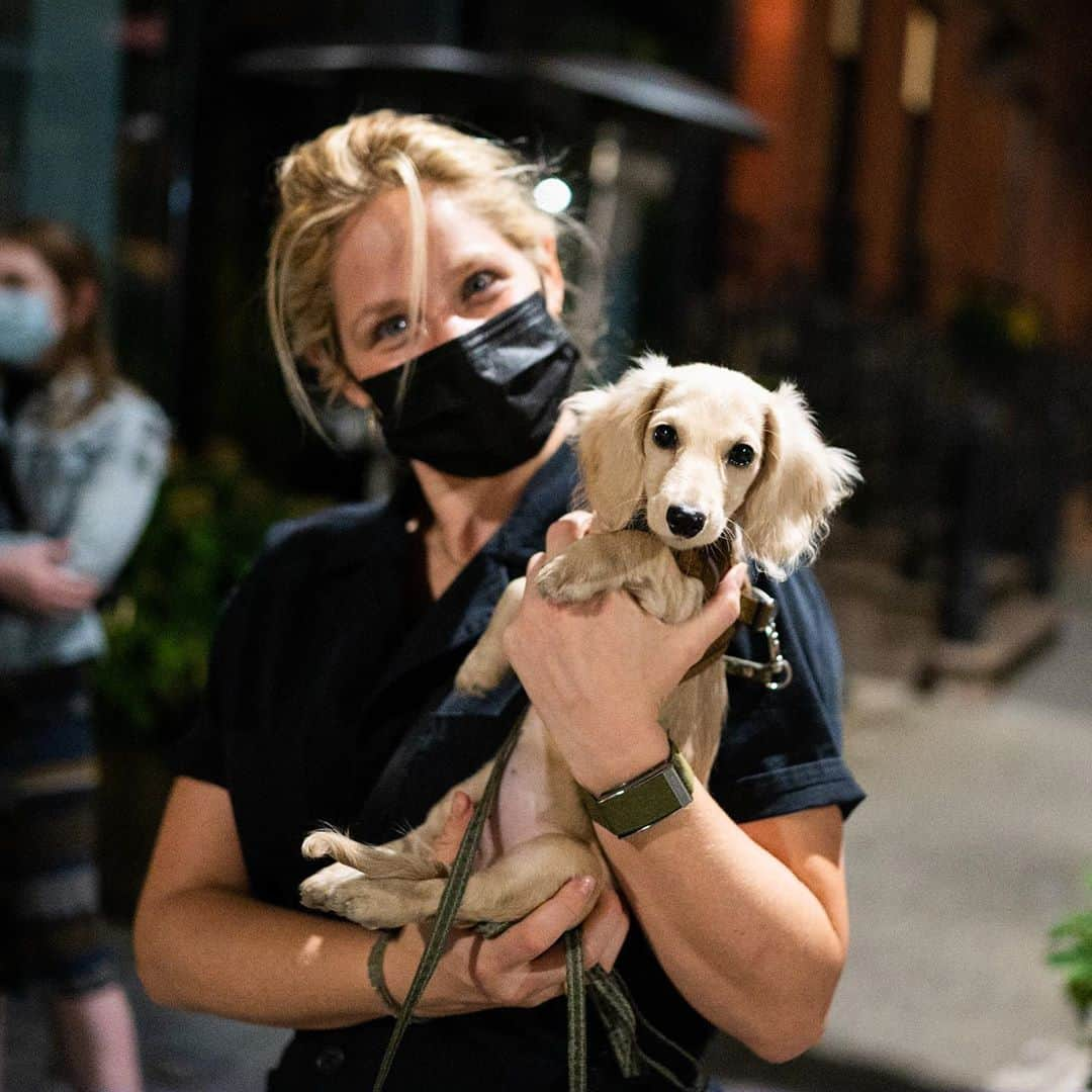 The Dogistさんのインスタグラム写真 - (The DogistInstagram)「Luna, Dachshund (4 m/o), W 4th & Charles St., New York, NY • “She loves to eat her own poop. She can’t wait to gobble it up out of her butt. Other than that she’s great.” @lunathesilkytuna」11月9日 10時19分 - thedogist