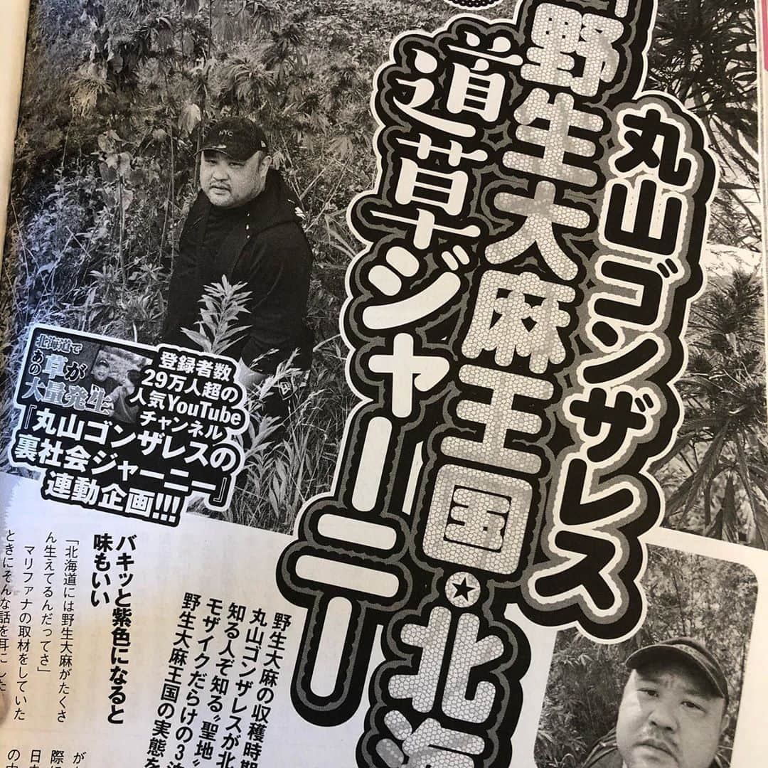 丸山ゴンザレスのインスタグラム：「本日発売の週刊プレイボーイ誌上にて「野生大麻王国・北海道〜道草ジャーニー」掲載されてます。YouTube裏社会ジャーニーの「北海道の自生してる大麻探しに行ってきました」とあわせてご覧ください！  https://www.youtube.com/watch?v=1tTd2QMg1-4」