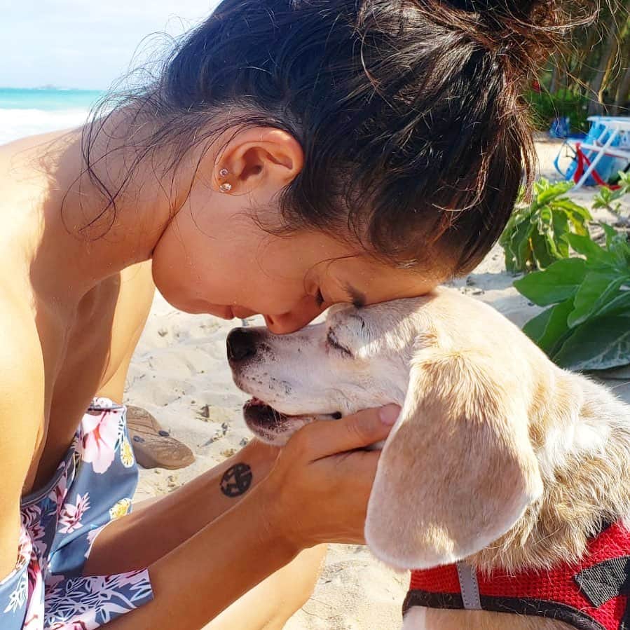 マヤ アリーナのインスタグラム：「♥️」