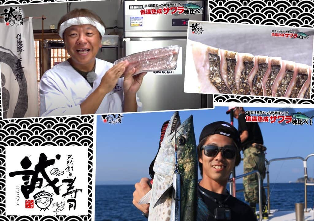 LureNews.TVさんのインスタグラム写真 - (LureNews.TVInstagram)「【釣った魚をおいしく食べる】釣ってスグor熟成したサワラはどっちがおいしい？シャウト“小野誠”の「誠寿司」第３弾  #シャウト #SHOUT #サワラ #誠寿司 #小野誠 #ルアーニュース」11月9日 12時03分 - lurenews