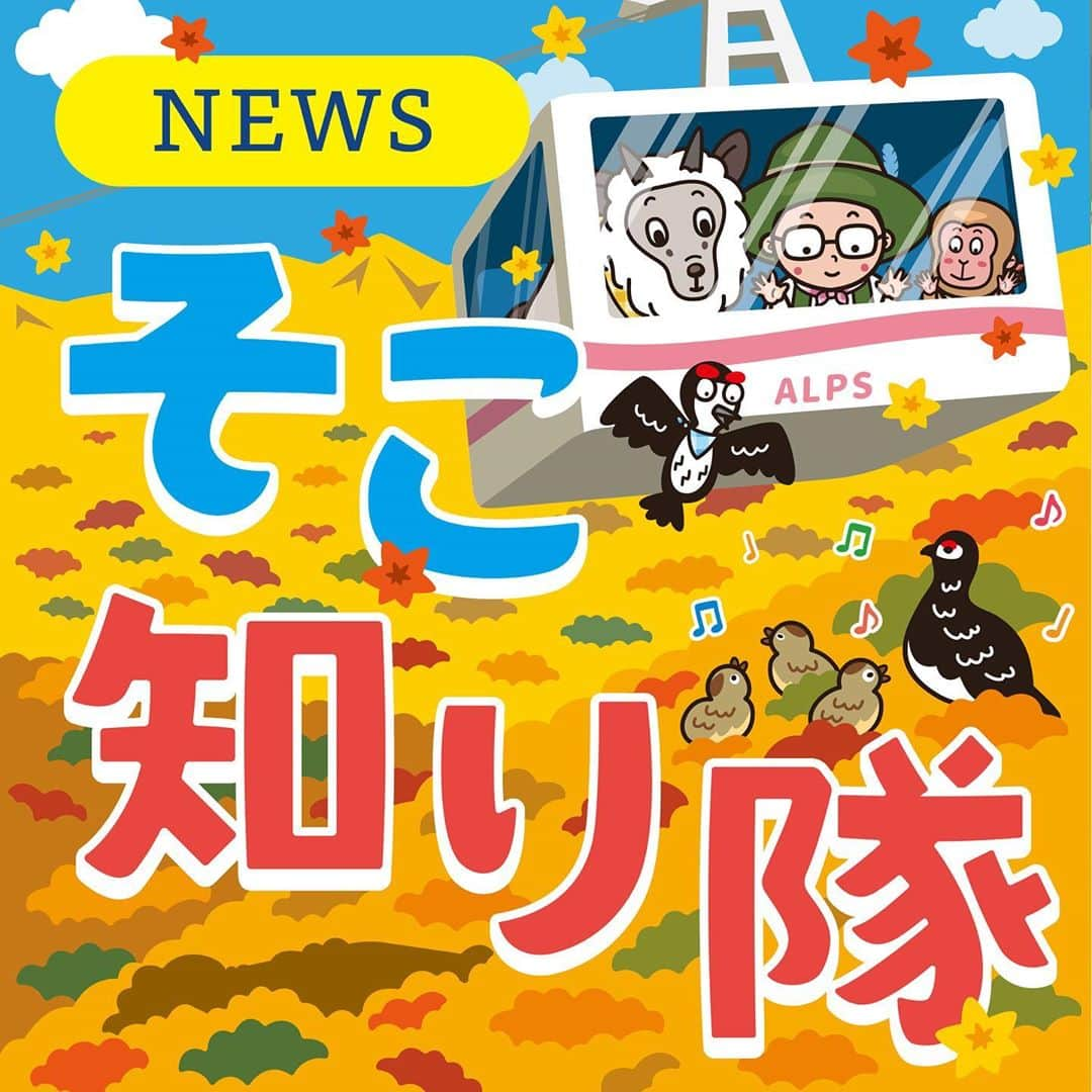 北沢直樹のインスタグラム：「信濃毎日新聞『そこ知り隊』2020晩秋 先週から晩秋版リニューアル。中央アルプスの紅葉🍁です〜 ・ #そこ知り隊 #信濃毎日新聞 #信毎 #信州 #長野 #nagano #新聞 #カワイイ #イラスト #キャラクター #キャラ #newspaper #drawing #artworks #manga #character #cartoon #anime #illustration #kawaii #mydesign」