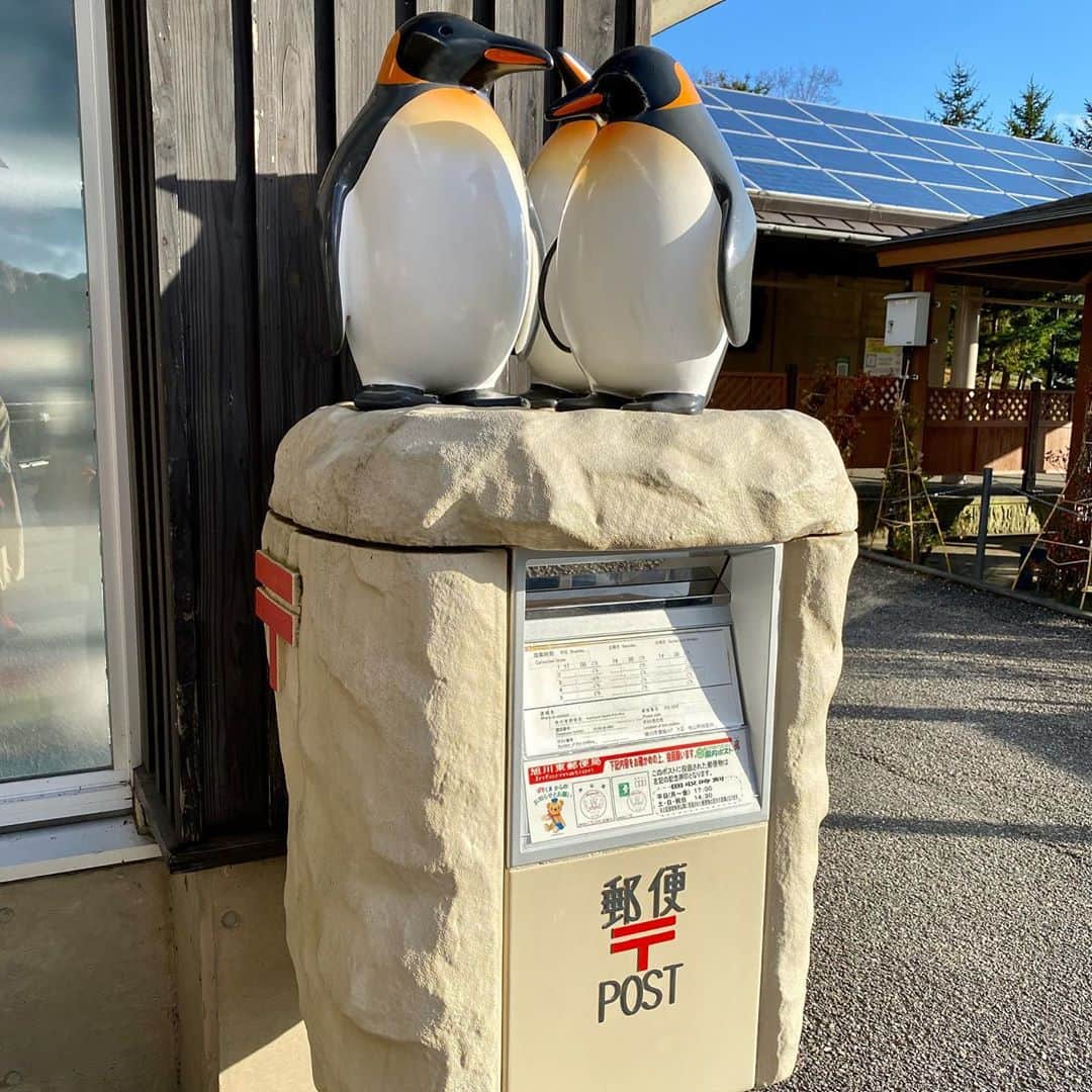 堀江淳のインスタグラム：「旭山動物園のポストはやはり🐧 #旭山動物園 #ペンギン #ポスト #郵便ポスト #メモリーグラス  #堀江淳  #ザベストテン  #昭和歌謡  #1981年  #水割りをください」