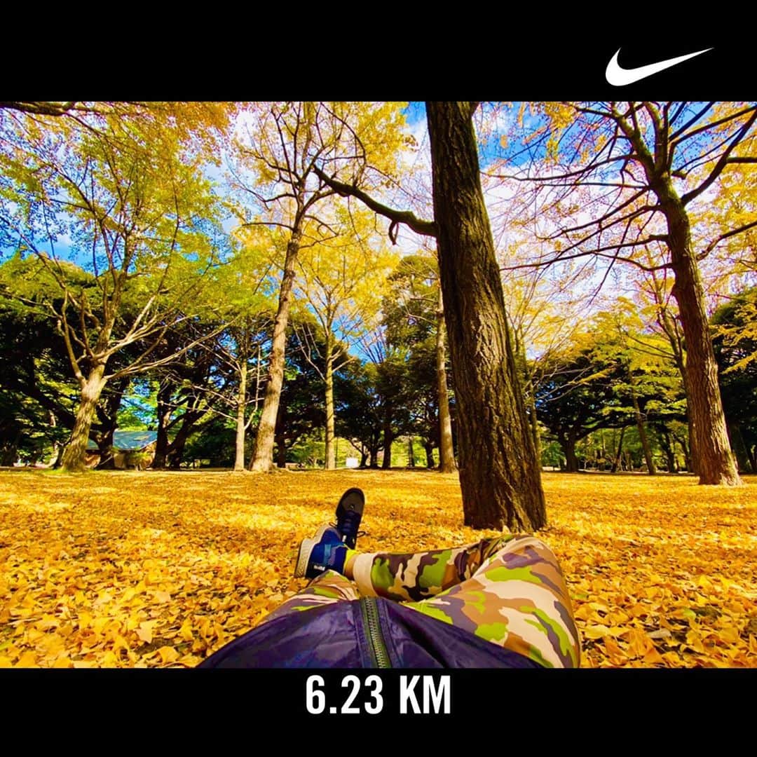 Shun さんのインスタグラム写真 - (Shun Instagram)「🍁秋も深まって、朝のランが気持ち良くなってきた。 東京 代々木公園から、黄色い絨毯の秋のお便りです☝🏻  くっせぇ〜！笑 #嫌いじゃない  #幡ヶ谷再生大学陸上部 #走るひと #MOBSTYLES #TOTALFAT #髭髭倶楽部」11月9日 13時02分 - totalfat.shun