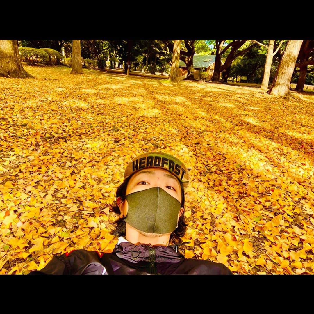 Shun さんのインスタグラム写真 - (Shun Instagram)「🍁秋も深まって、朝のランが気持ち良くなってきた。 東京 代々木公園から、黄色い絨毯の秋のお便りです☝🏻  くっせぇ〜！笑 #嫌いじゃない  #幡ヶ谷再生大学陸上部 #走るひと #MOBSTYLES #TOTALFAT #髭髭倶楽部」11月9日 13時02分 - totalfat.shun