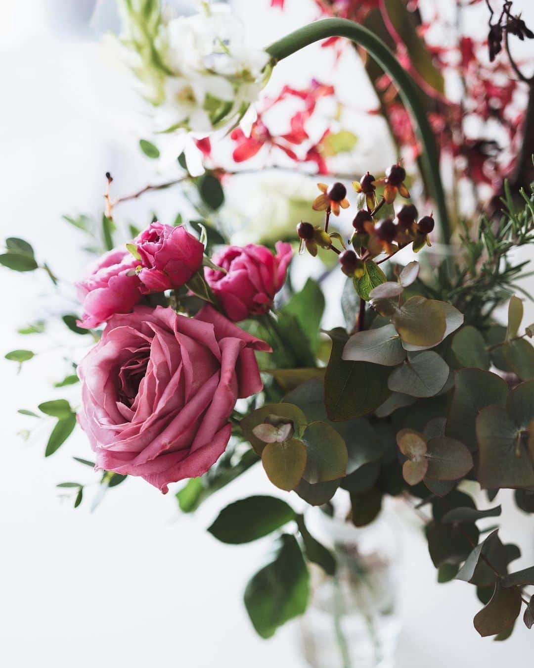 市川渚のインスタグラム：「先日届いた #LIFFT定期便 のお花と先週自分で買ってきたお花たち。想定外の方向に成長し始めたり、花びらや葉が落ちたりと、日に日に様子が変わるところも愛おしい。﻿ ﻿ The flowers from the flower subscription by LIFFT and some of them I went to buy myself last week. They keep me going.﻿ ﻿ #flowers#💐#a7iii#leicasummicron5cm」