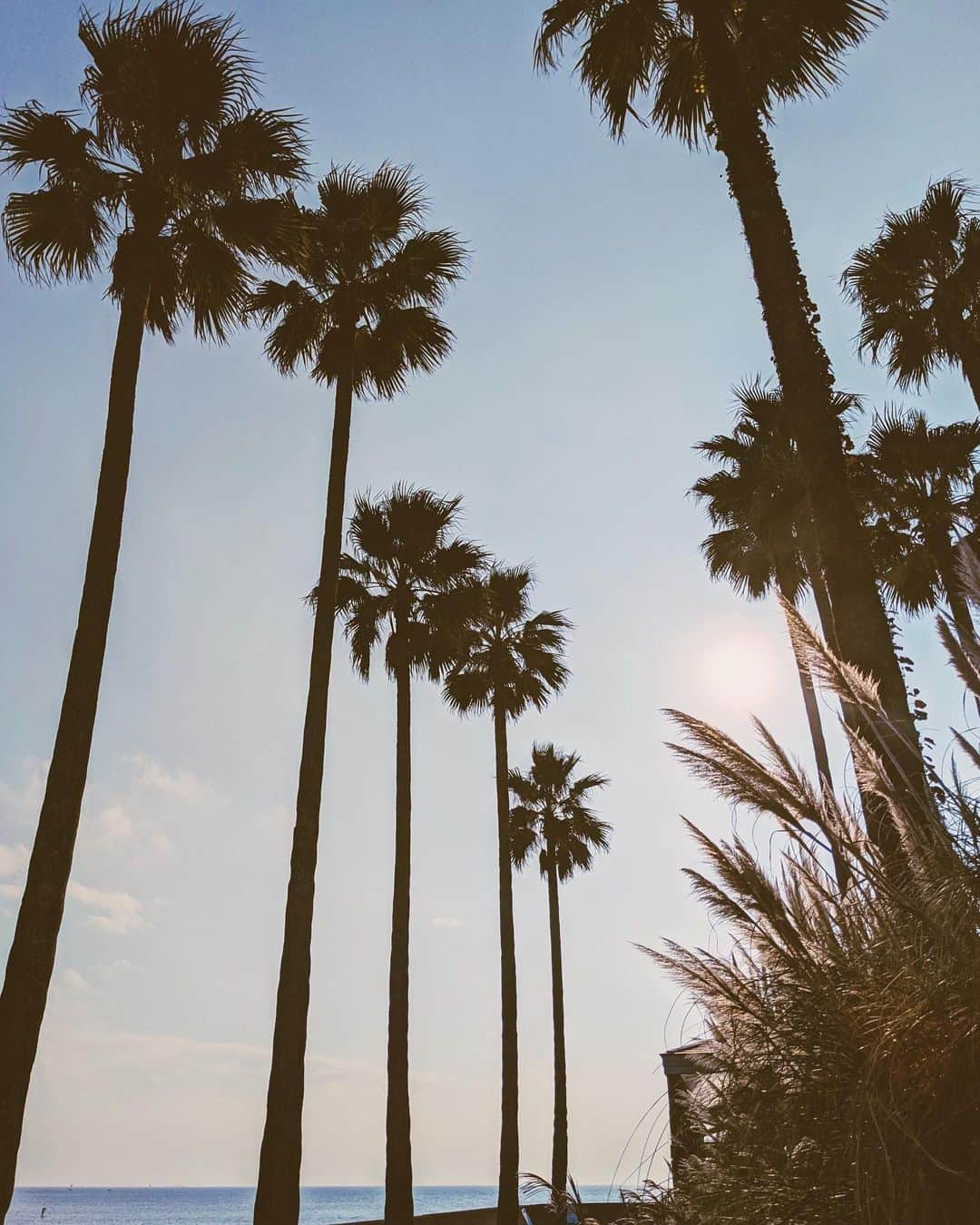 来夏さんのインスタグラム写真 - (来夏Instagram)「#🌾 ススキを見つけると 撮らずにはいられない📷🤔☺️  冬に近づく風の香り思うと 懐かしくなって 寒い季節も好きになってきた最近👵🏼💭 この場所も思い出たくさん🌙 #goodolddays」11月9日 22時48分 - rairairaika