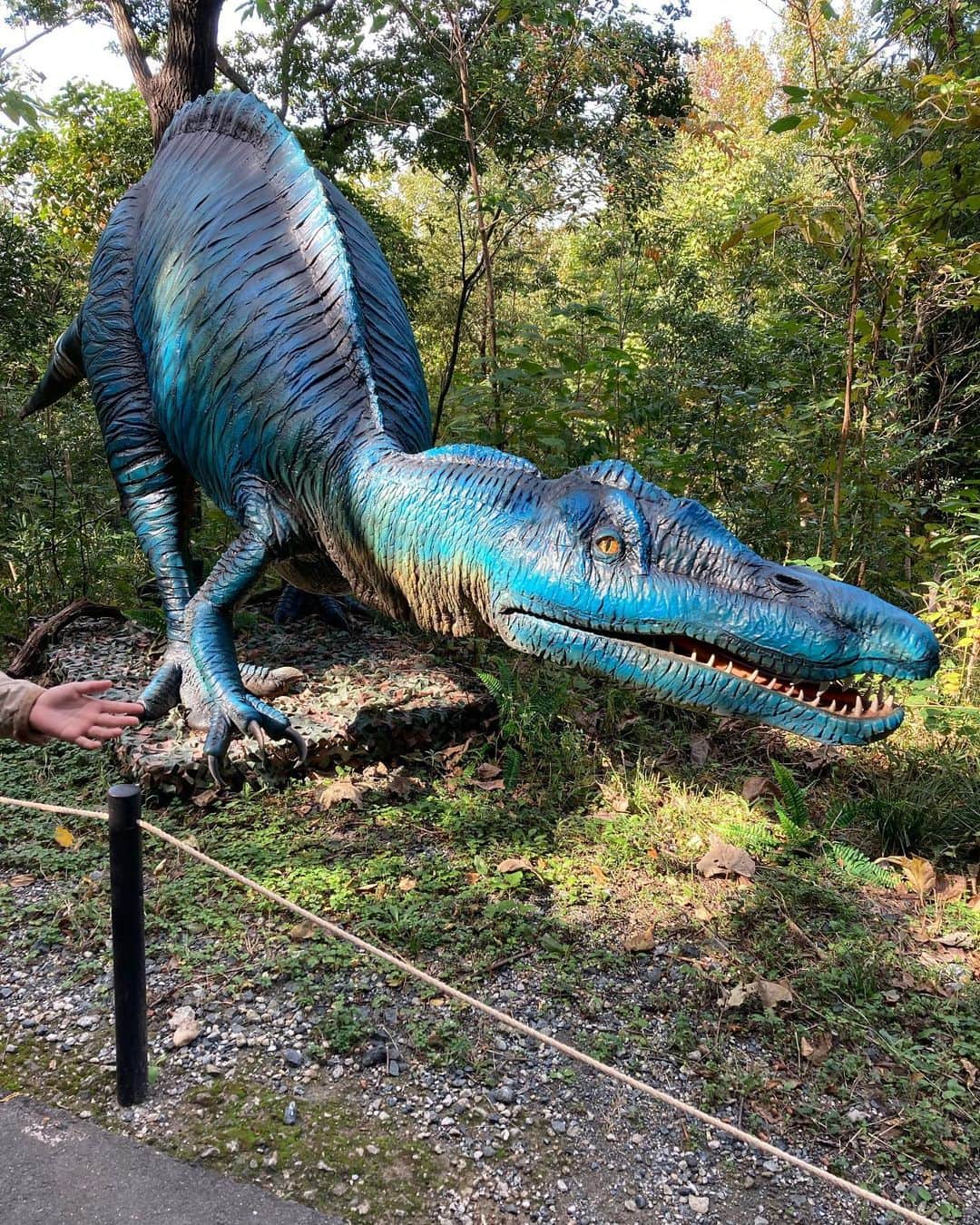 吉川正洋さんのインスタグラム写真 - (吉川正洋Instagram)「先ほどの恐竜がいた場所は名古屋の大高緑地です🦖リアルですね🦕」11月9日 22時58分 - dhyoshikawa