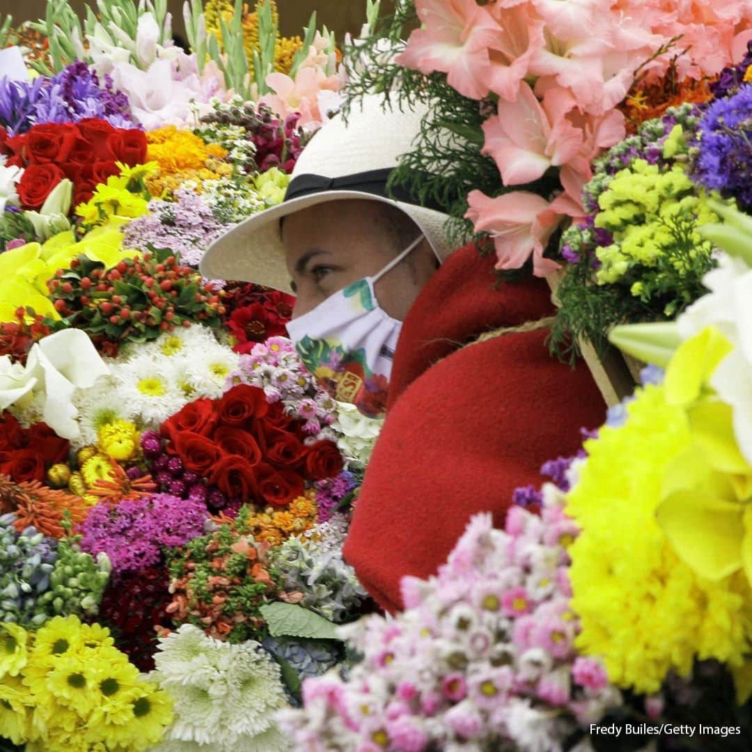 ABC Newsさんのインスタグラム写真 - (ABC NewsInstagram)「Men and women carry flower arrangements as part of the Festival of the Flowers in Medellin, Colombia. #columbia #festivalofflowers」11月9日 23時00分 - abcnews