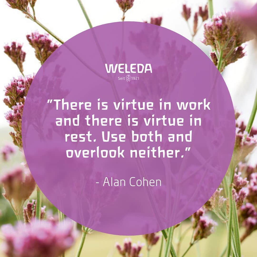 Weledaのインスタグラム：「A great reminder heading into a new week! ✨ #quoteoftheday」