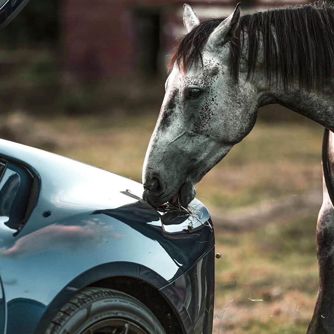 CARLiFESTYLEさんのインスタグラム写真 - (CARLiFESTYLEInstagram)「🧐 Photo by @pogforever #carlifestyle」11月9日 23時26分 - carlifestyle