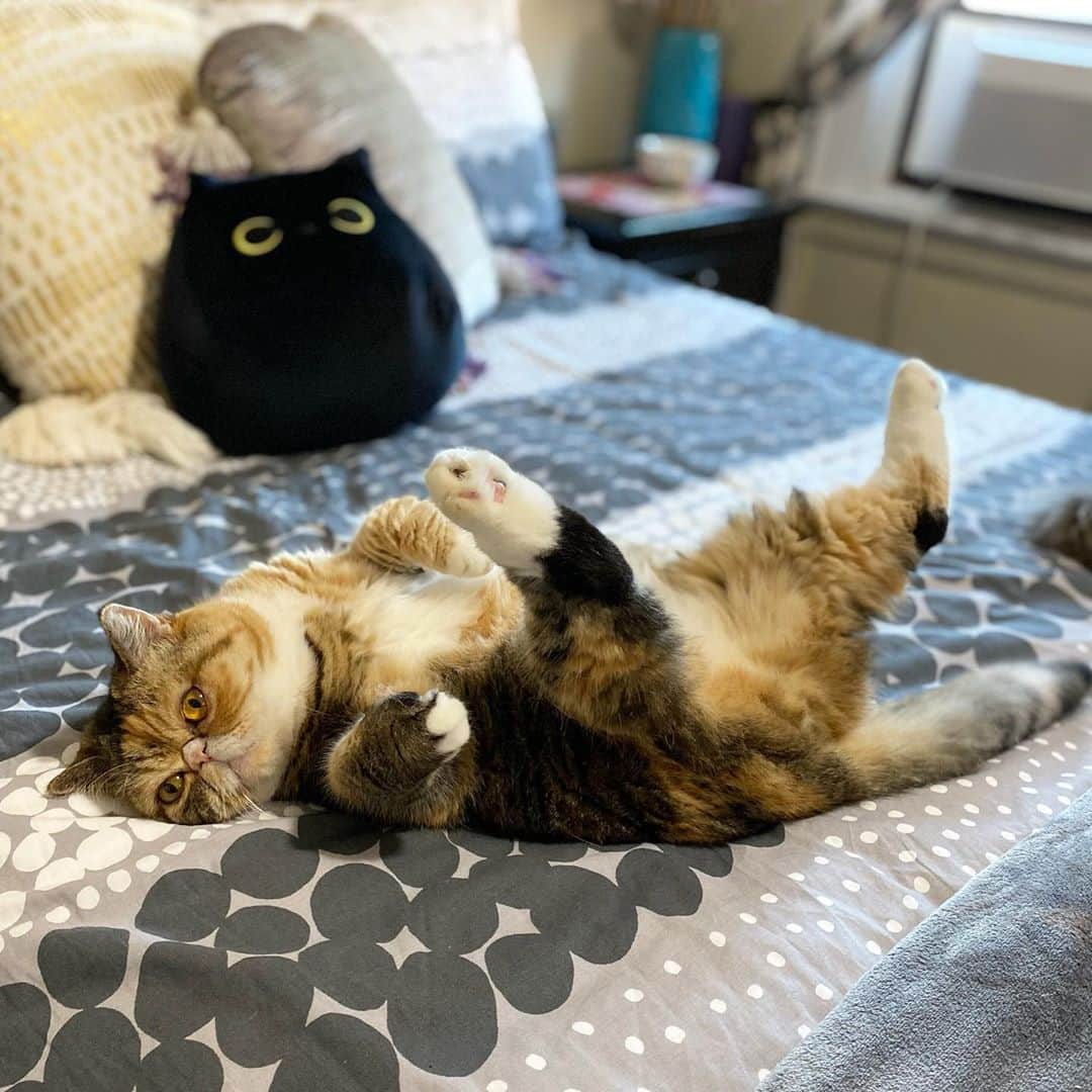 Tinaのインスタグラム