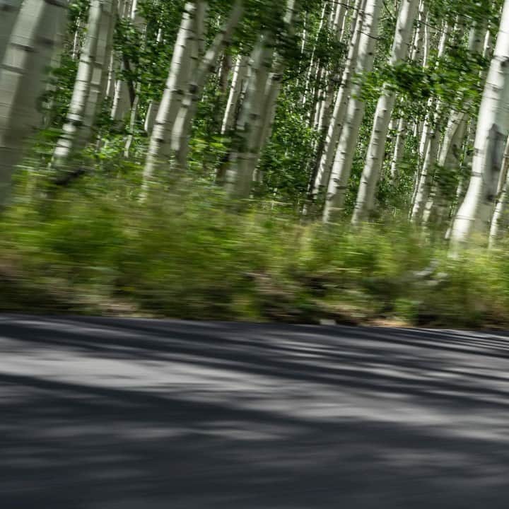 Nissan USA Official Instagram accountのインスタグラム：「Leads are meant to be taken. #NissanRogue2021 #RogueGoneRogue」
