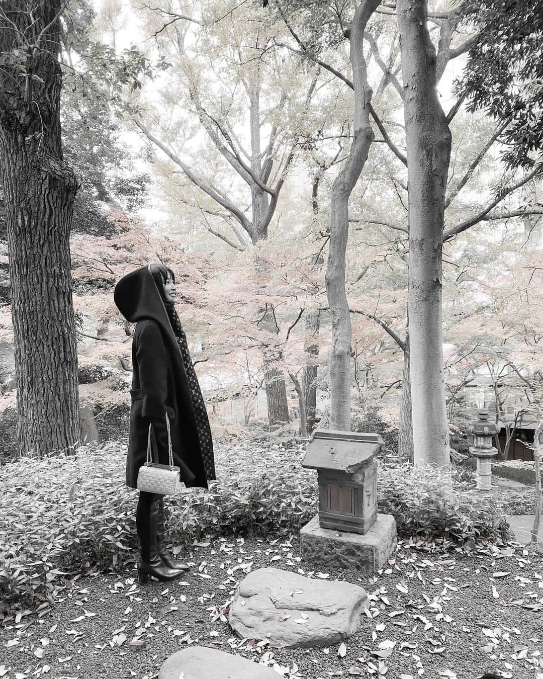 紺谷みえこのインスタグラム：「♒︎𑁍𑁍𑁍 ちゃぽーんって温泉はいりたぁい 紅葉をただただながめたぁい 静かな所で読書したぁい  さ明日もがんばろ！ good night🌙  #紅葉　#四季　#お散歩　#秋　#温泉」