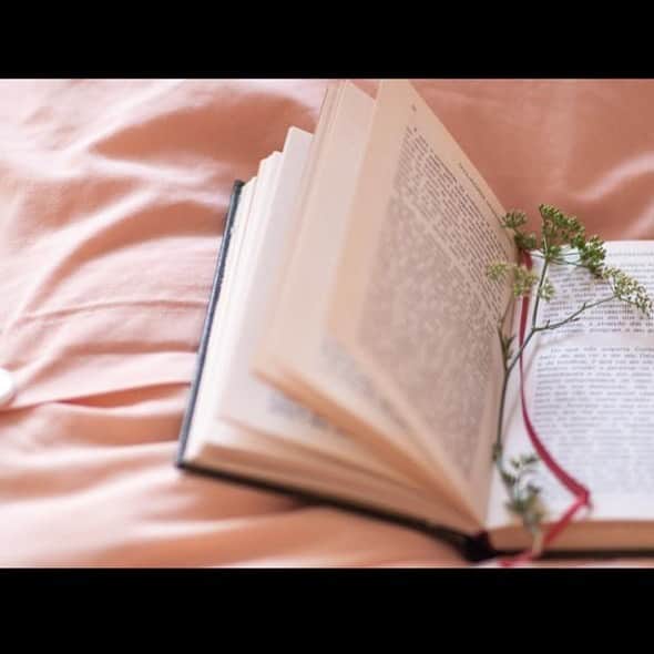 ナタリア・ディルのインスタグラム：「E aí? Vão começar a semana lendo qual livro?  📸: @rogerio_boettger」