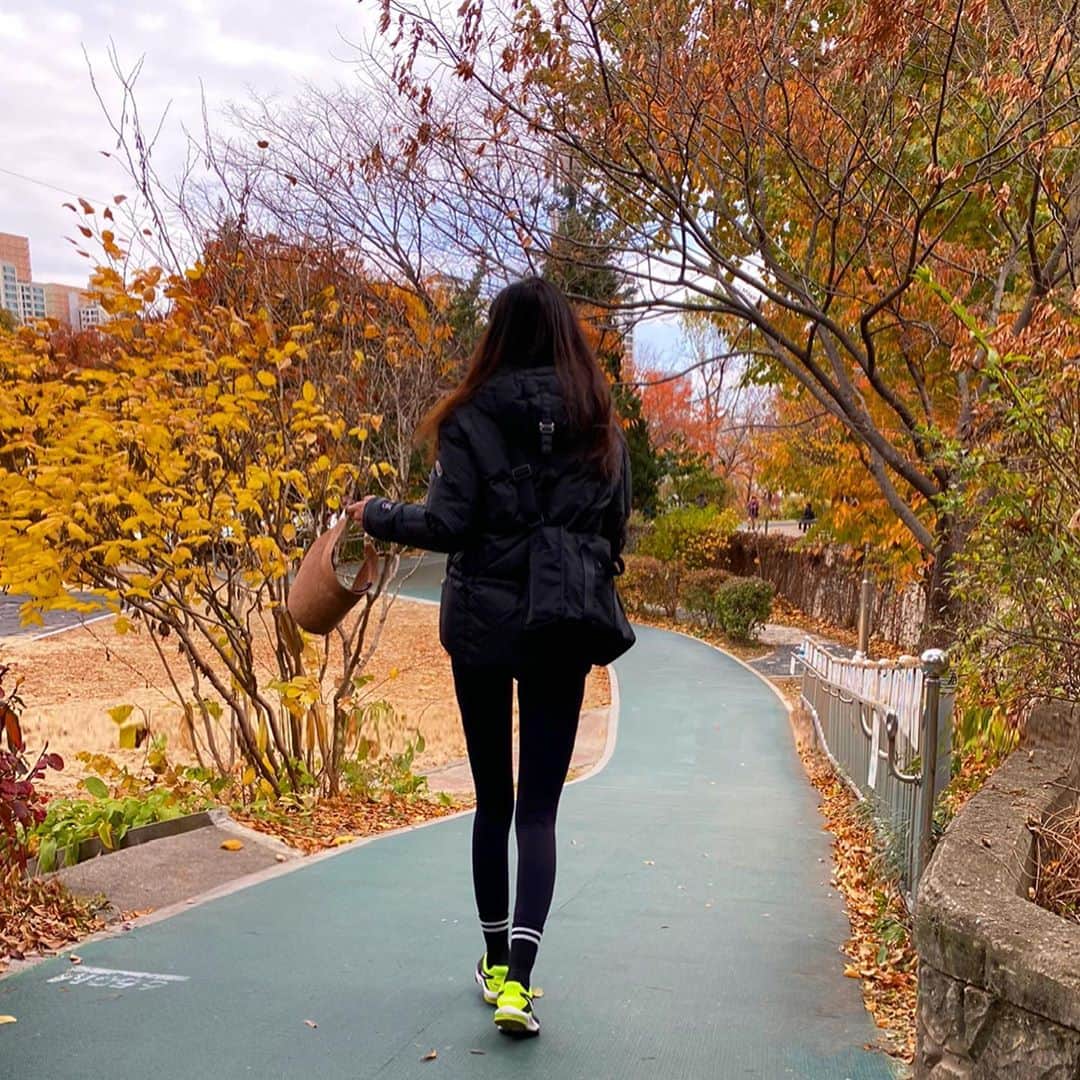 パク・ソルミさんのインスタグラム写真 - (パク・ソルミInstagram)「아침먹고 동네한바퀴🍁🍂🌾」11月9日 15時43分 - park_solmi
