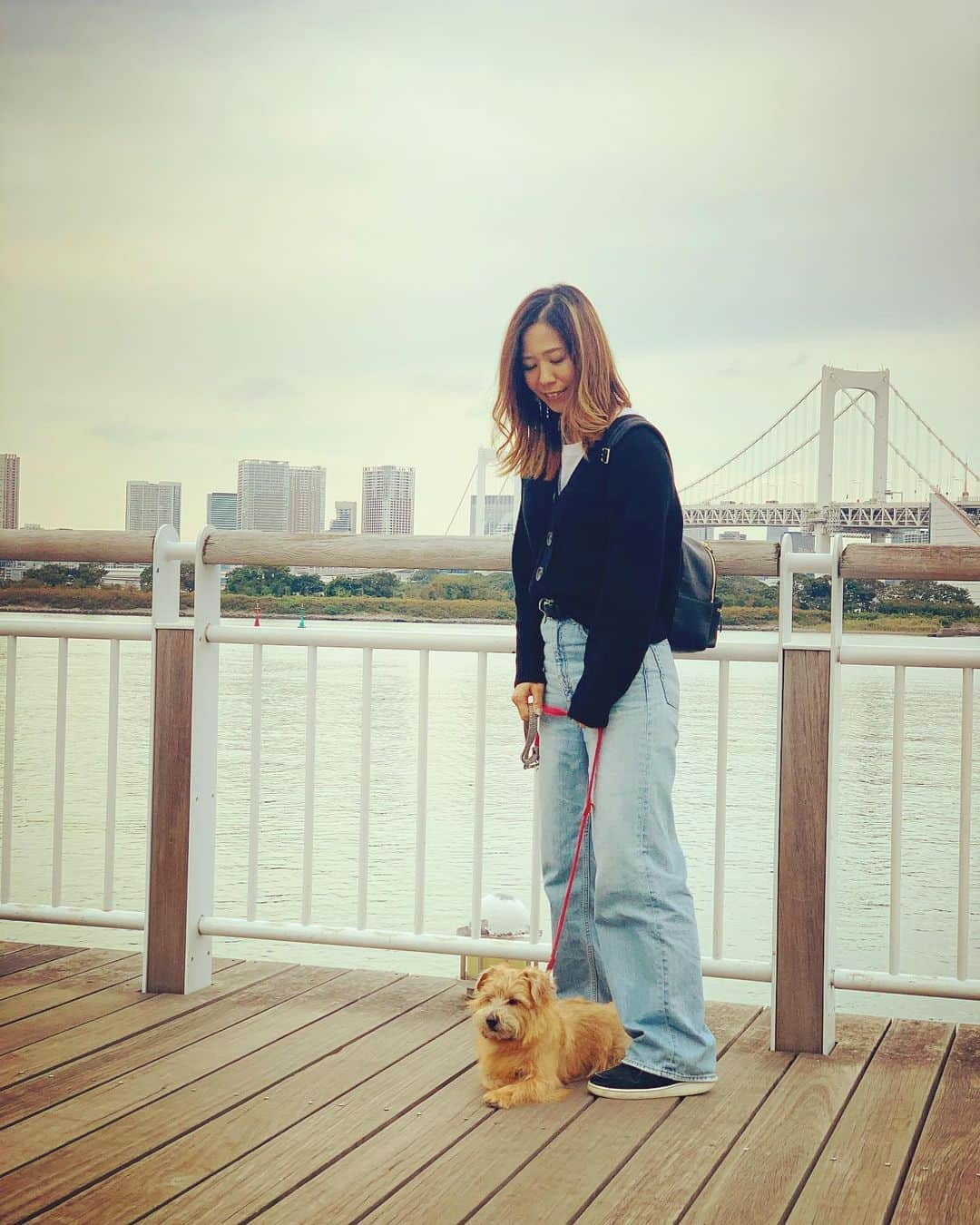 梅原玲奈さんのインスタグラム写真 - (梅原玲奈Instagram)「エマが来てからよくお台場に行くように🚗 ドッグフレンドリーなところが多くて、食事もお散歩も出来るしお友達もたくさんで犬も人間も結構楽しめます🐶  #norfolkterrier  #ノーフォークテリア #犬のいる暮らし」11月9日 15時45分 - reina_umehara