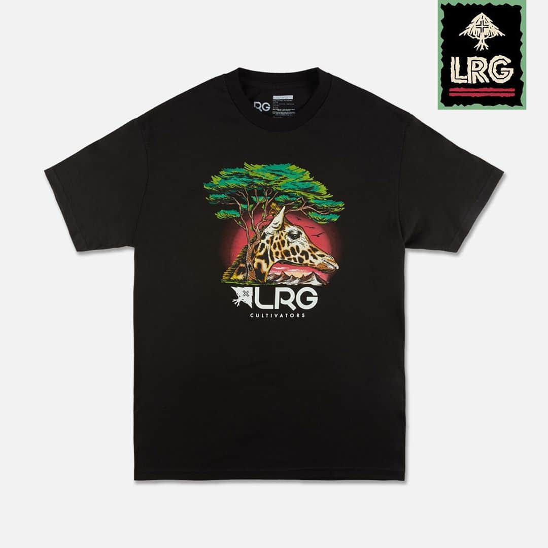 エルアールジーのインスタグラム：「Our Motherland collection has so many dope new graphic tees. Swipe to preview. #LRG #DownFromEarth」